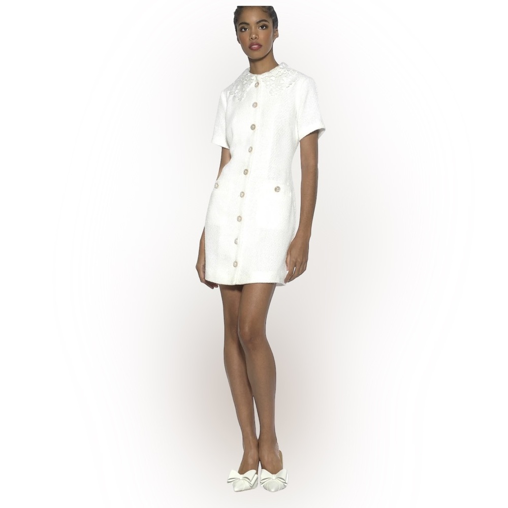 New Alexia Admore Priscilla Dress w/Metallic Threads